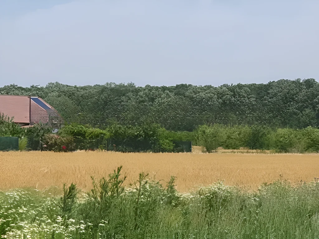 casa de vânzare în Balotești, Ilfov - Proximitate pădure, stadiu 'la rosu', teren 400 mp - imaginea 12