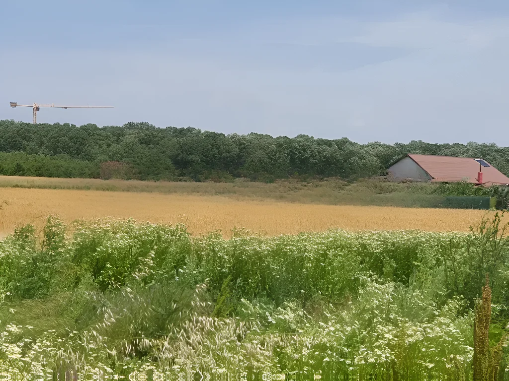 casa de vânzare în Balotești, Ilfov - Proximitate pădure, stadiu 'la rosu', teren 400 mp - imaginea 10