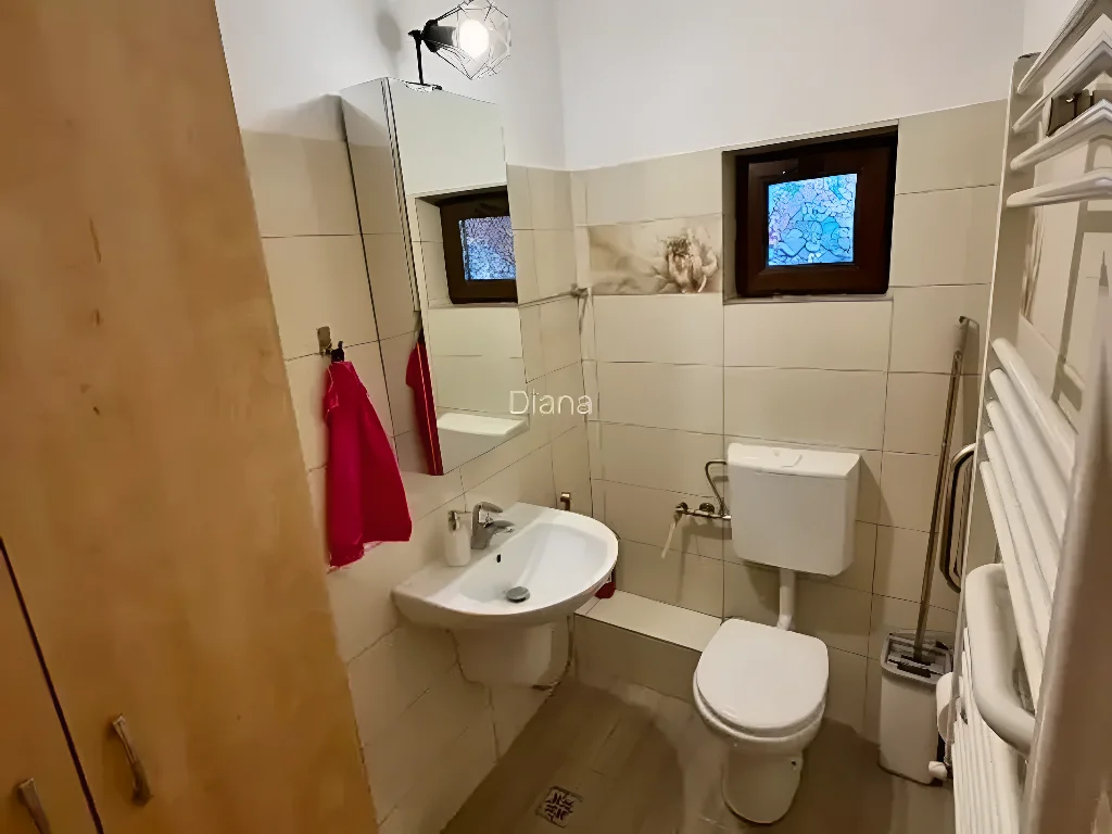 Vanzare casa Tunari, Ilfov - Locuinta parter, curte amenajata, utilitati - imaginea 12