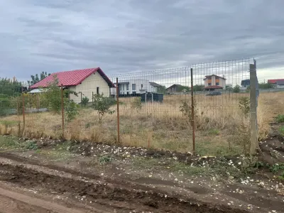 Ofertă Teren Berceni, Ilfov - 442 mp Intravilan pentru construcții