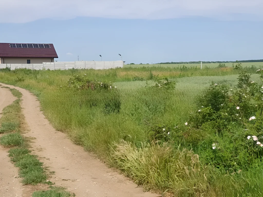 Teren Intravilan de Vânzare Balotești, Ilfov - Potențial de Investiție și Zonă Rezidențială - imaginea 4