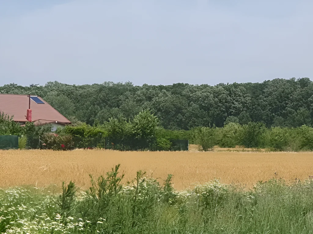 Teren Balotești, Ilfov – 500 mp, zonă liniștită, acces stradal, lângă pădure - imaginea 9