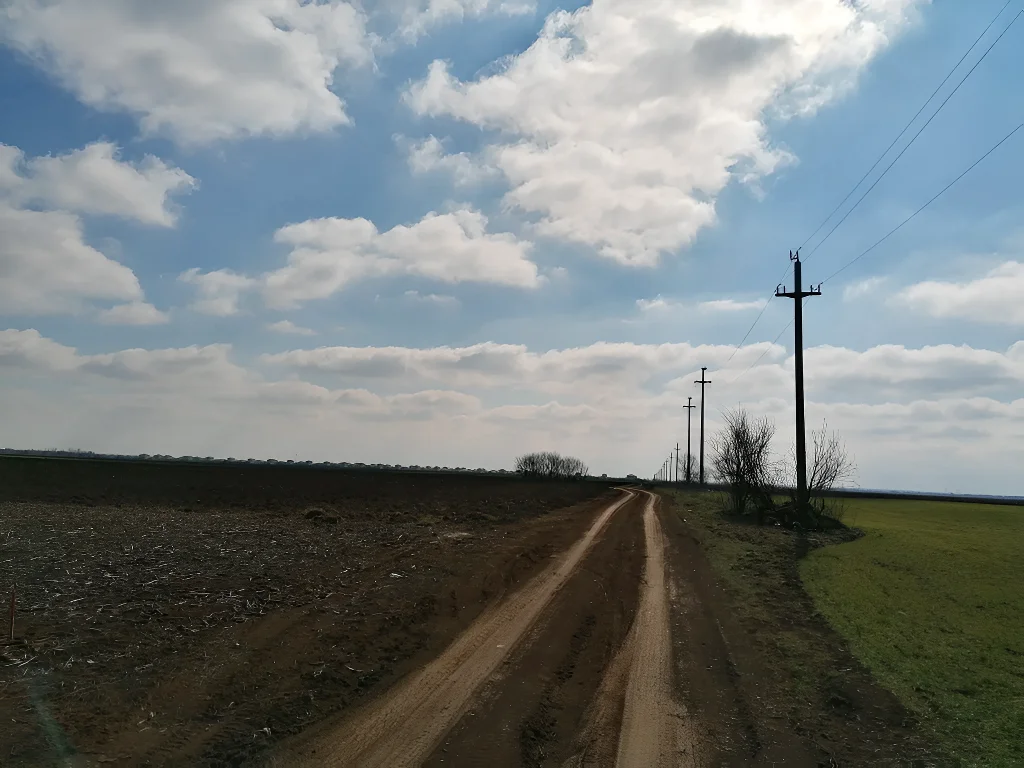 Vanzare teren intravilan Balotesti, Ilfov - Suprafata 22.000 mp, vecintate zone rezidentiale - imaginea 2