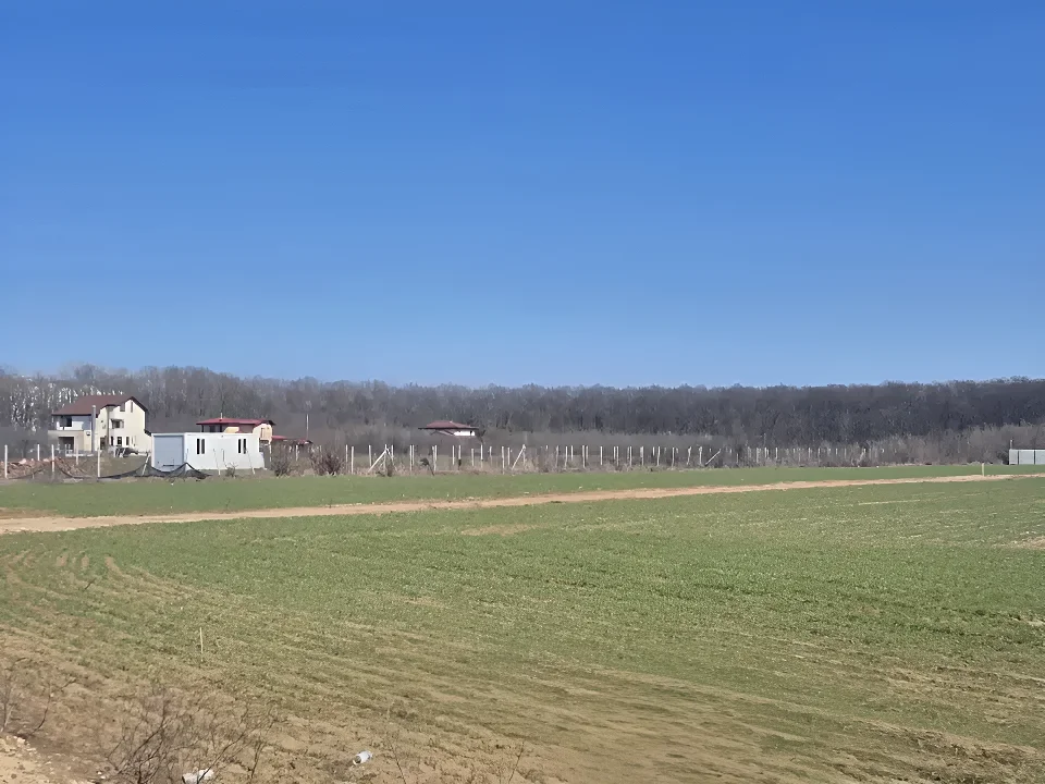 Oportunitate de Investiție: Teren în Balotești, Ilfov - 873 mp - imaginea 2