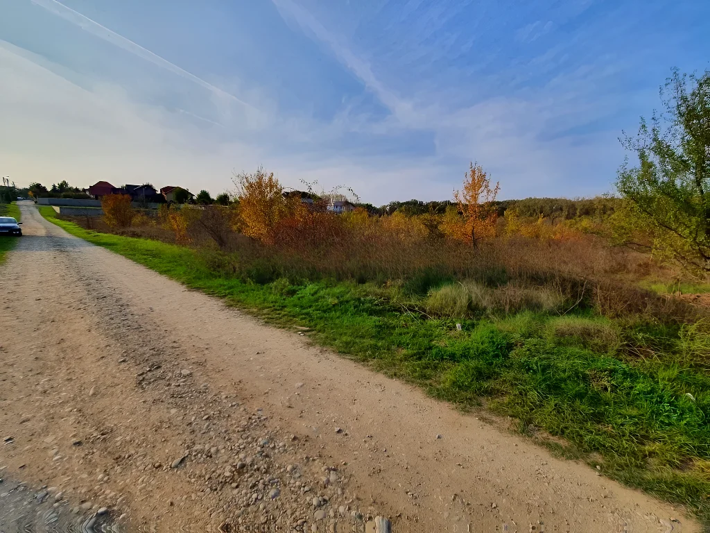 Teren de vânzare în Balotești, Ilfov – Lot 600 mp, vecinătate pădure, utilități la 20m, acces stradal amenajat - imaginea 9