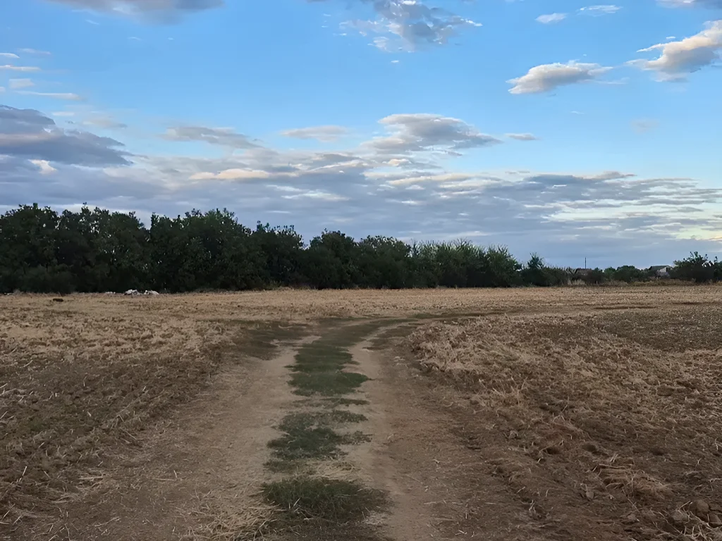 Teren de vânzare în Balotești, Ilfov - 850 mp, intravilan, 22m deschidere la drum public - imaginea 3