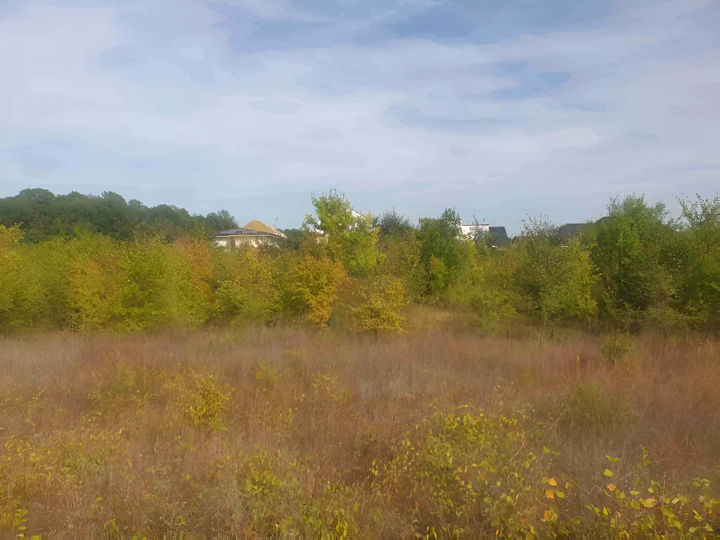 Teren de vânzare în Balotești, Ilfov – Lot 600 mp, vecinătate pădure, utilități la 20m, acces stradal amenajat - imaginea 12