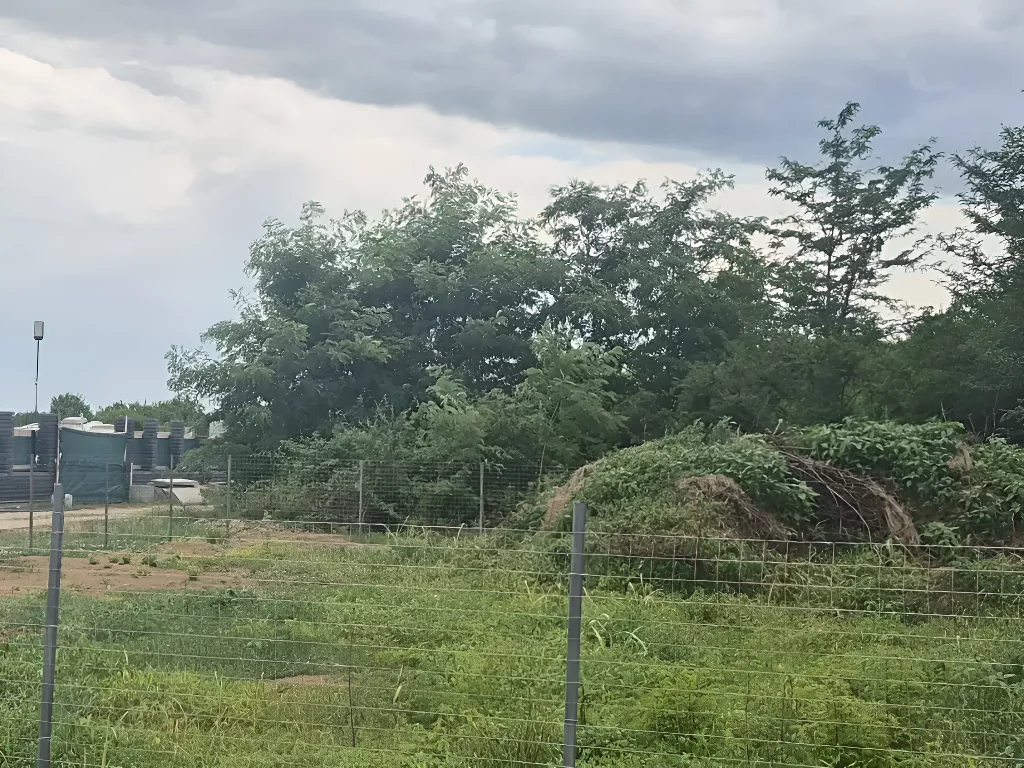 Teren intravilan Balotești, Ilfov - 500 mp, acces stradal, utilități la 60m, fără restricții - imaginea 6