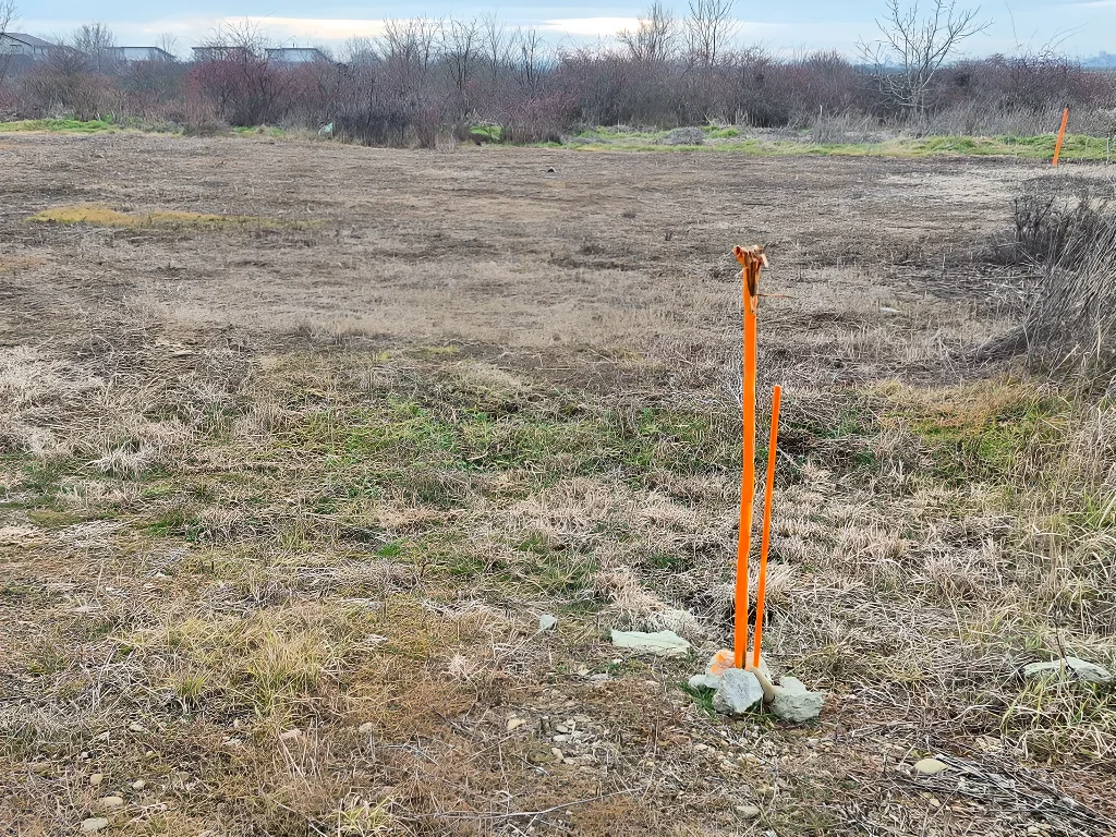 Vânzare teren intravilan Balotești, Ilfov - 500 mp, acces facil DN1, utilități complete - imaginea 8