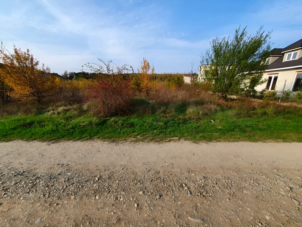 Teren de vânzare în Balotești, Ilfov – Lot 600 mp, vecinătate pădure, utilități la 20m, acces stradal amenajat - imaginea 4