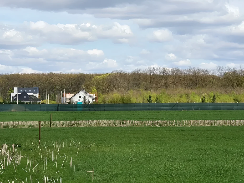De vanzare teren 620 mp Balotesti, Ilfov - Zonă rezidențială, acces drum, utilități gaz și electricitate - imaginea 5