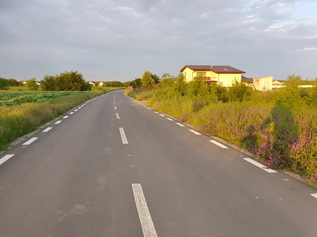 De Vânzare: Teren 600mp Balotești, Ilfov - Aproape de Asfalt și Facilități Moderne - imaginea 6