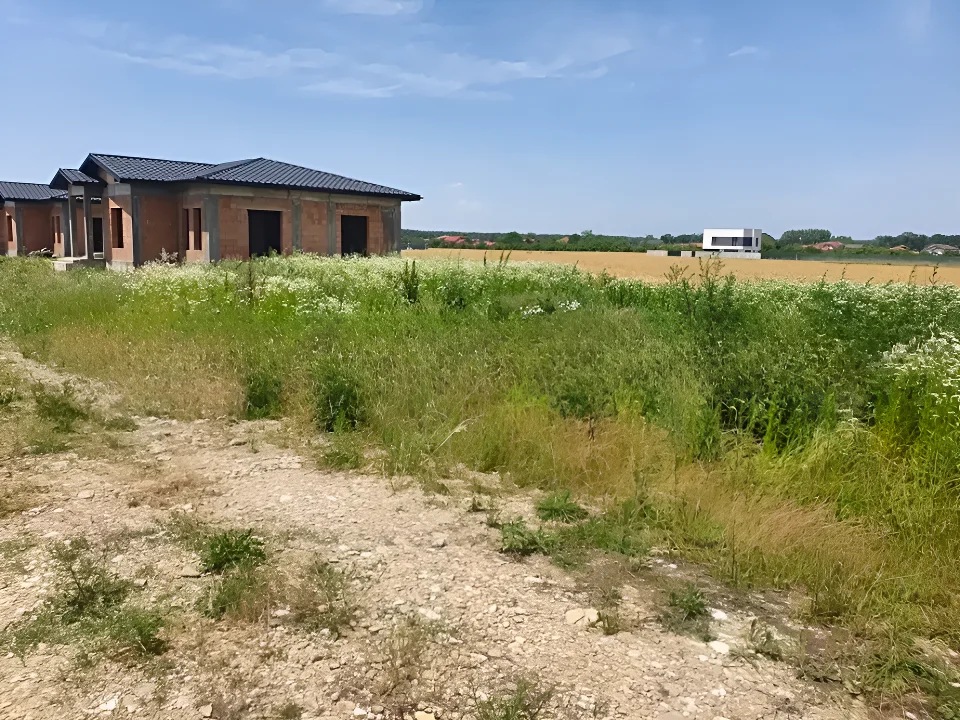 Teren de vanzare in Balotești, Ilfov - Suprafață 1000 mp, aproape de pădure - imaginea 2