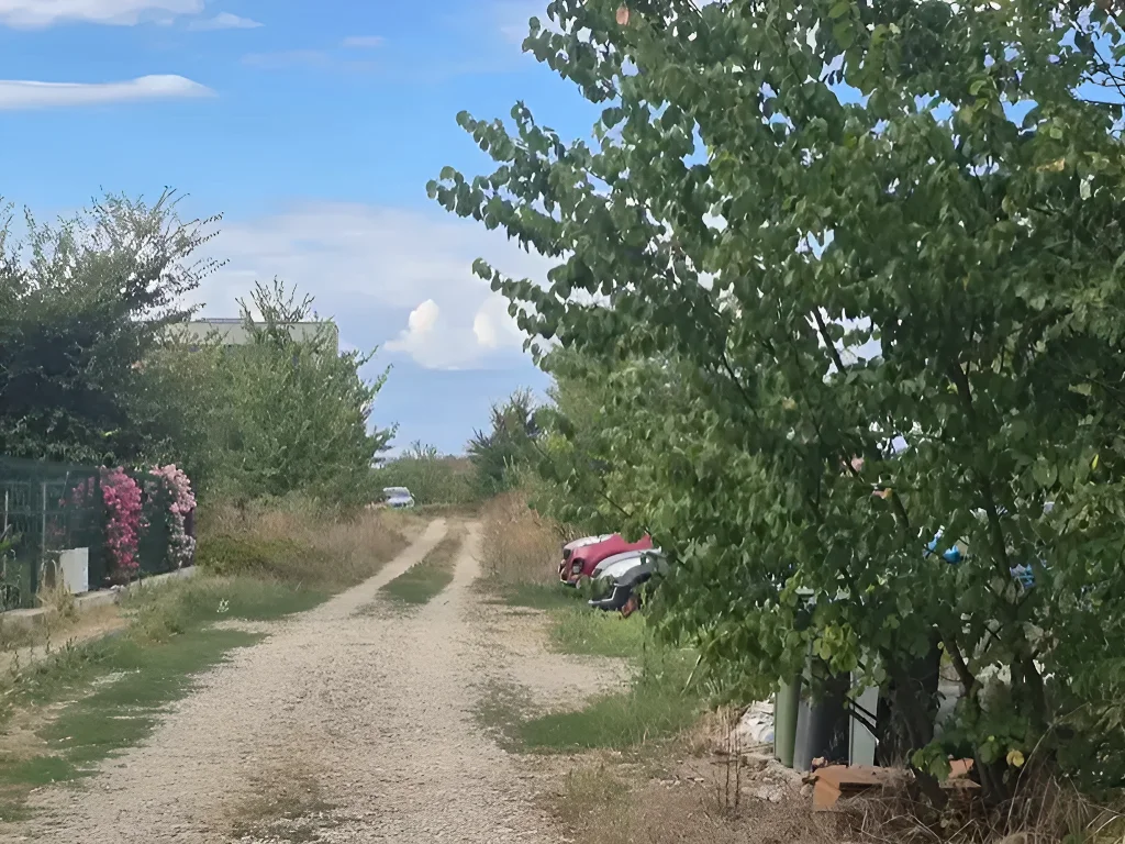 Vânzare teren Balotești, Ilfov - 720 mp, Utilități la Limită, Access Stradal - imaginea 8