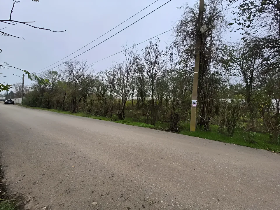 Teren de Vanzare Balotești, Ilfov - Aproape de Natură și Utilități Esențiale - imaginea 3