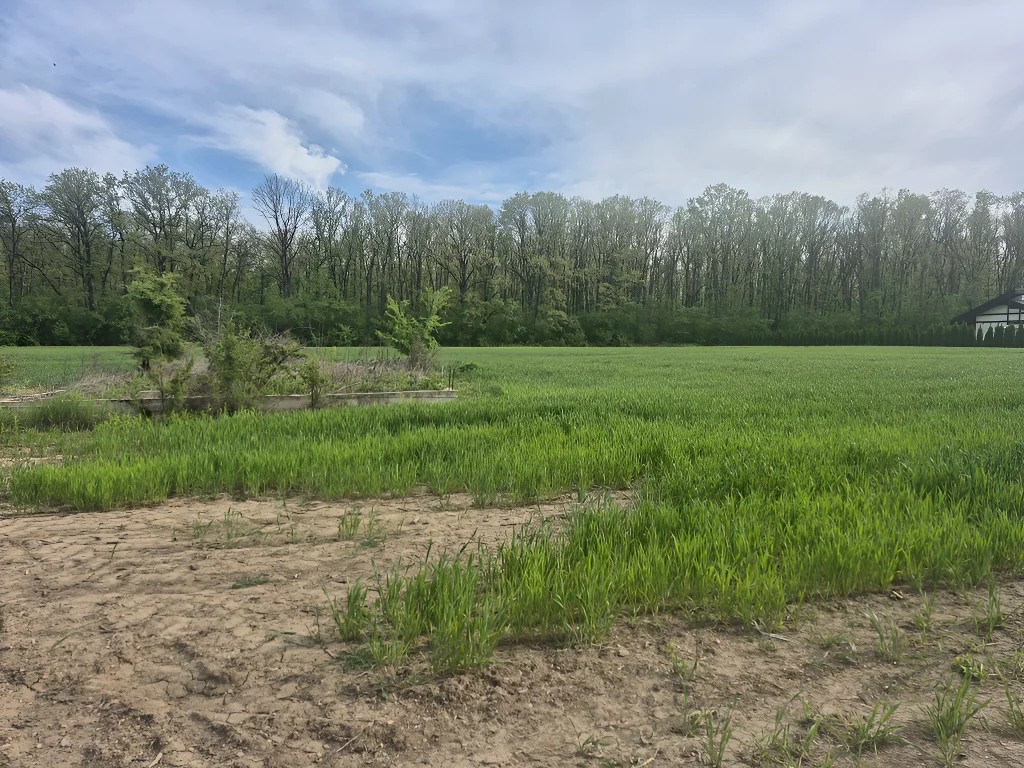 De Vânzare: Teren Intravilan Balotești, Ilfov - Ideal pentru Casă, 1273 mp, Acces Ușor la Pădure și Utilități - imaginea 3