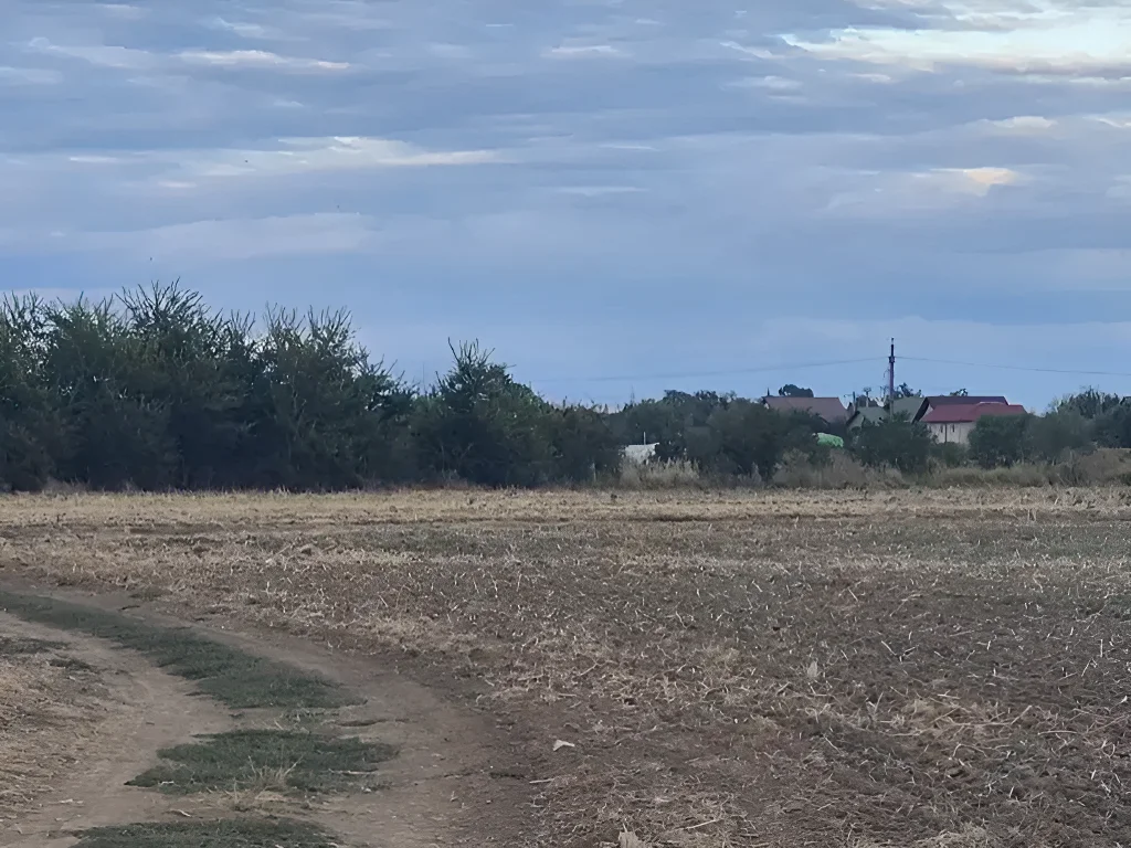 Teren de vânzare în Balotești, Ilfov - 850 mp, intravilan, 22m deschidere la drum public - imaginea 5