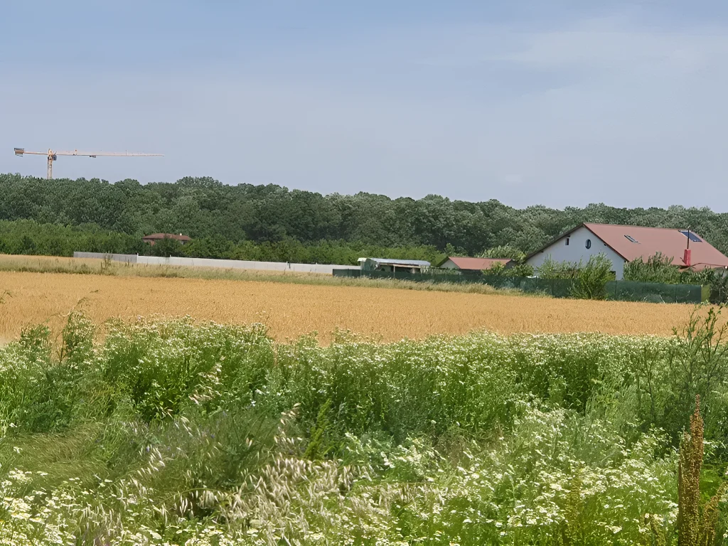 Teren Balotești, Ilfov – 500 mp, zonă liniștită, acces stradal, lângă pădure - imaginea 7
