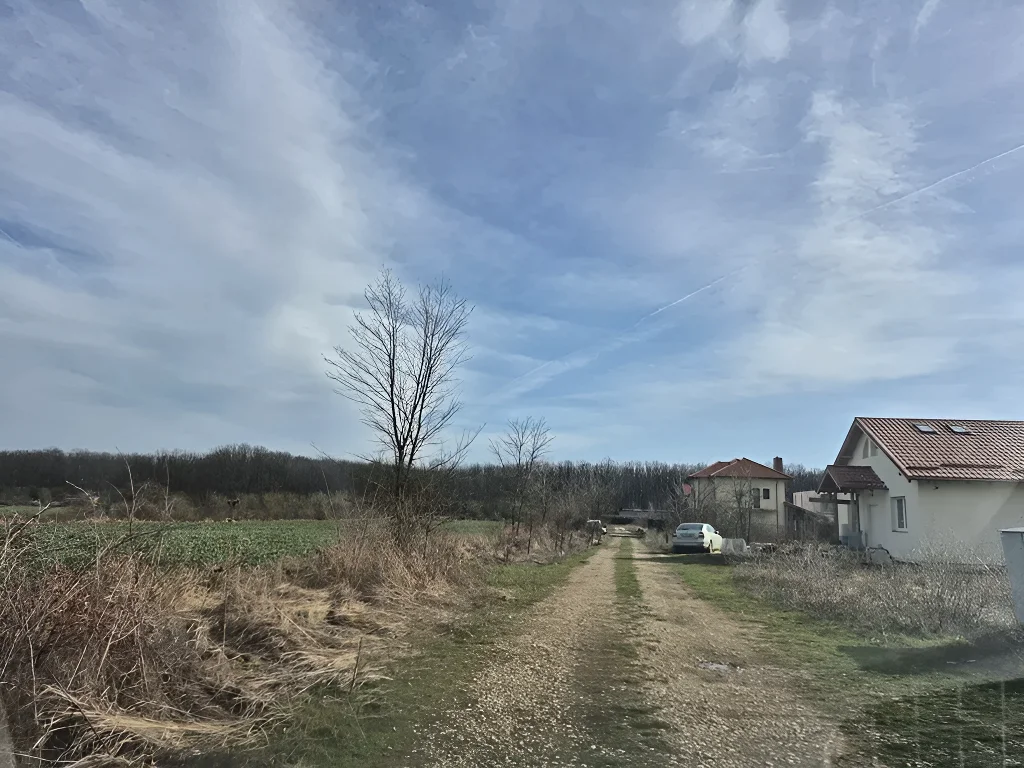 Teren de Construcție Balotești, Ilfov - Suprafață Generoasă, Utilități La Hotar, Lângă Pădure - imaginea 8