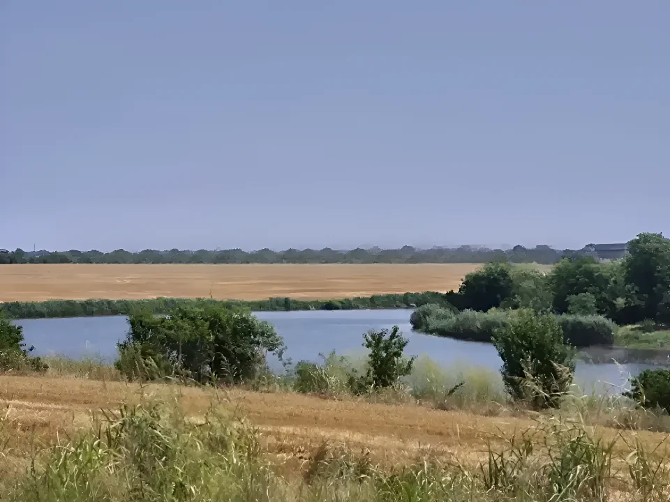 Teren de vânzare în Balotești, Ilfov - Zonă liniștită, 550 mp, utilități la 70m - imaginea 5