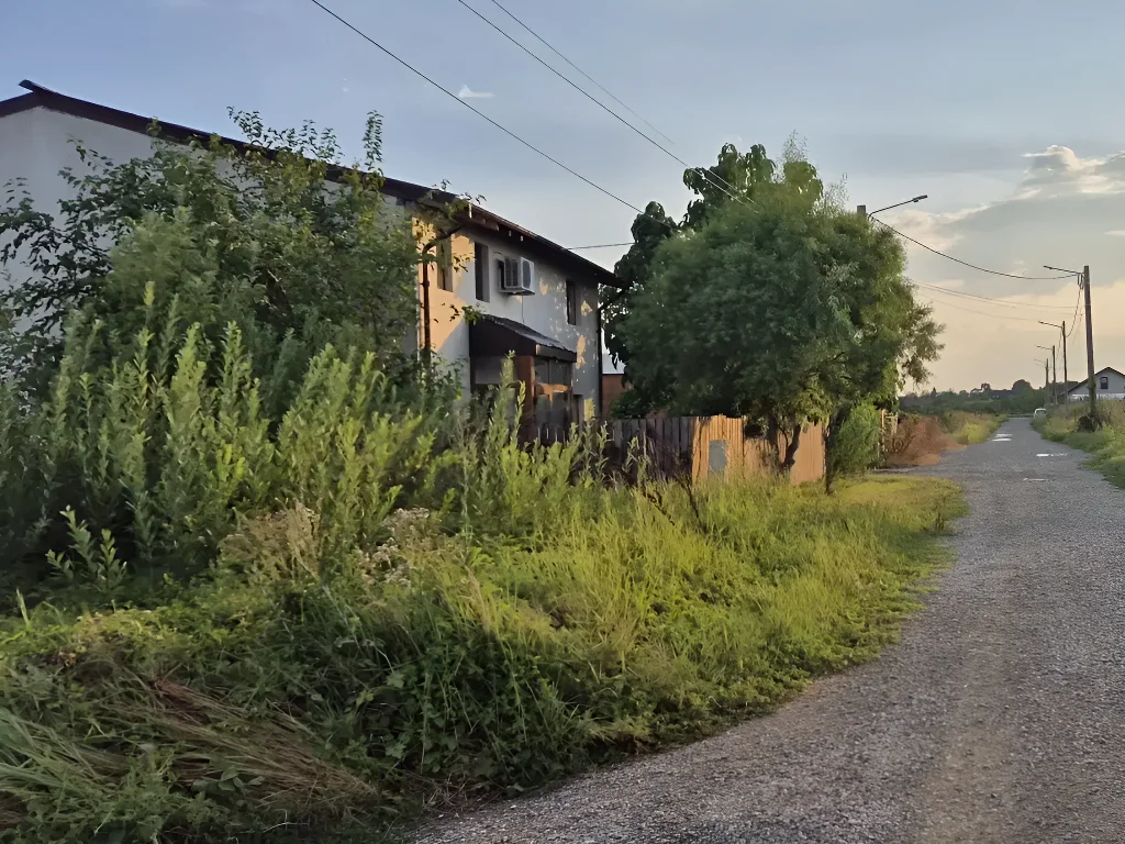 Teren 600 mp de vânzare în Balotești, Ilfov - Acces drum asfaltat, aproape de lac și utilități - imaginea 8