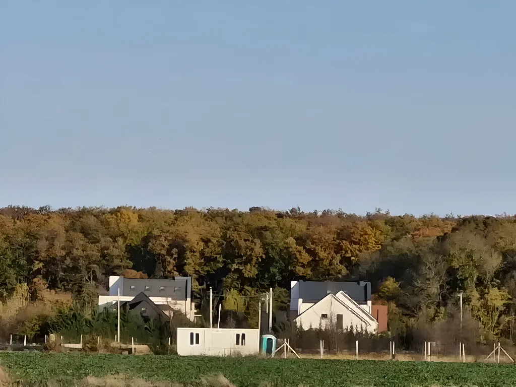 Teren de Vanzare Balotești, Ilfov – Ansamblu Rezidențial Lângă Pădure