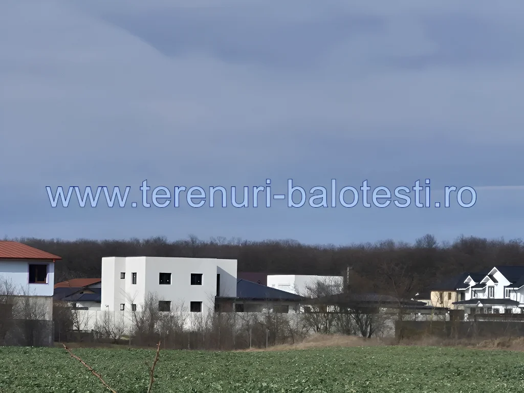 Teren de Construcție Balotești, Ilfov - Suprafață Generoasă, Utilități La Hotar, Lângă Pădure - imaginea 12