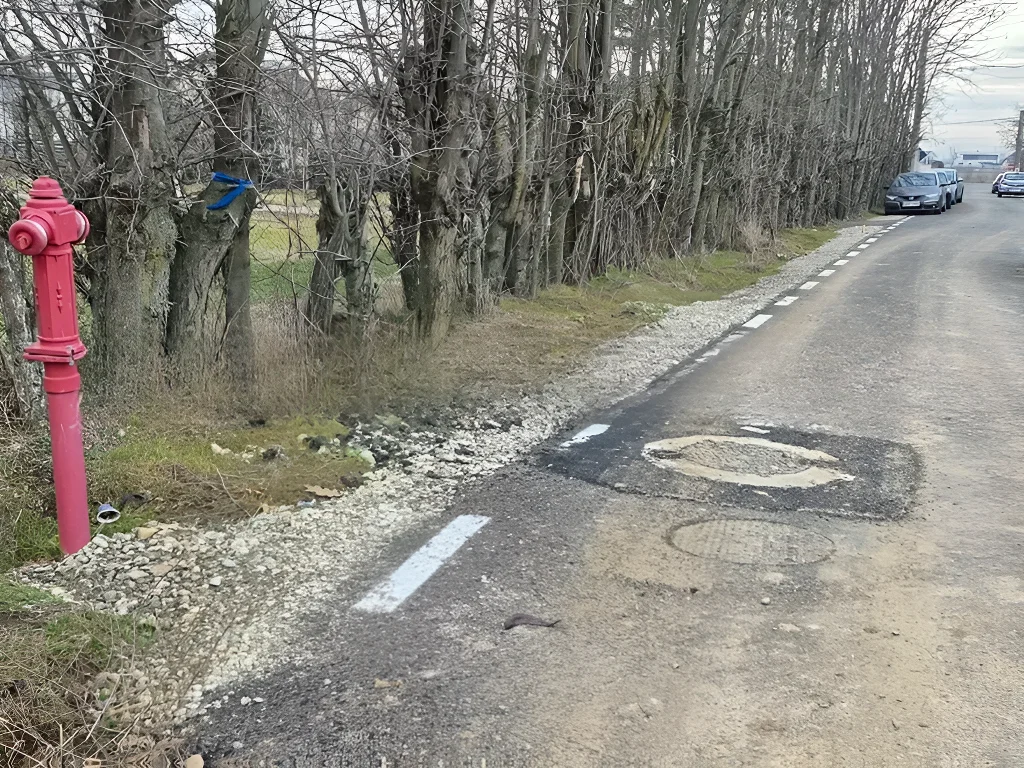 Teren de Vanzare Balotesti, Ilfov - Ideal pentru Locuinta Luminoasa si Eficienta Energetic - imaginea 10