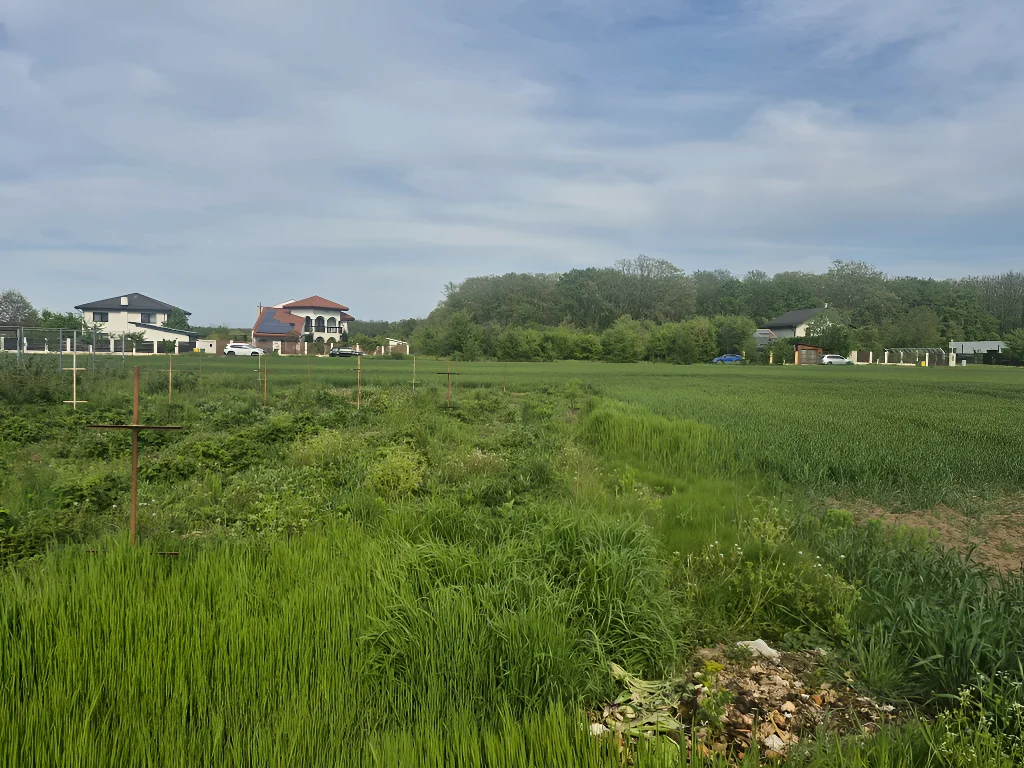 De Vânzare: Teren Intravilan Balotești, Ilfov - Ideal pentru Casă, 1273 mp, Acces Ușor la Pădure și Utilități - imaginea 4