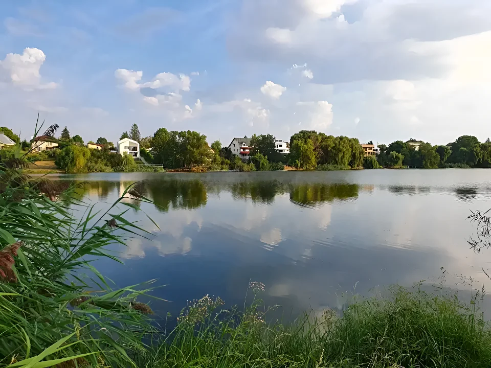 Teren de Vanzare Balotești, Ilfov - Aproape de Natură și Utilități Esențiale - imaginea 8