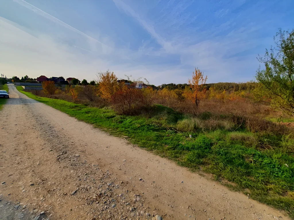 Teren de vânzare în Balotești, Ilfov – Lot 600 mp, vecinătate pădure, utilități la 20m, acces stradal amenajat - imaginea 3