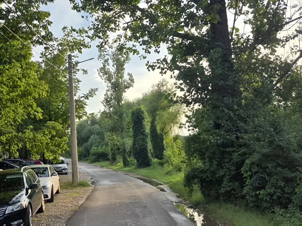 Ofertă teren Balotești, Ilfov - Zonă rezidențială cu acces la facilități și spații verzi - imaginea 6