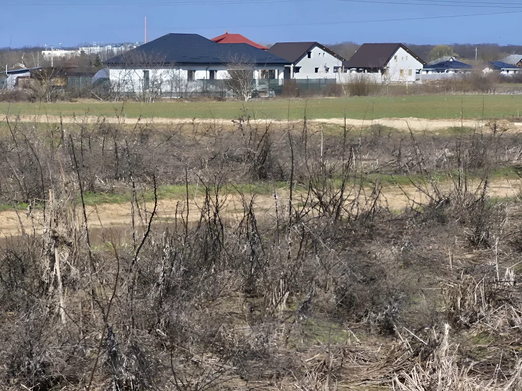 Vanzare teren Balotesti, Ilfov - 1000 mp, potențial de parcelare, lângă zone rezidențiale noi - imaginea 6