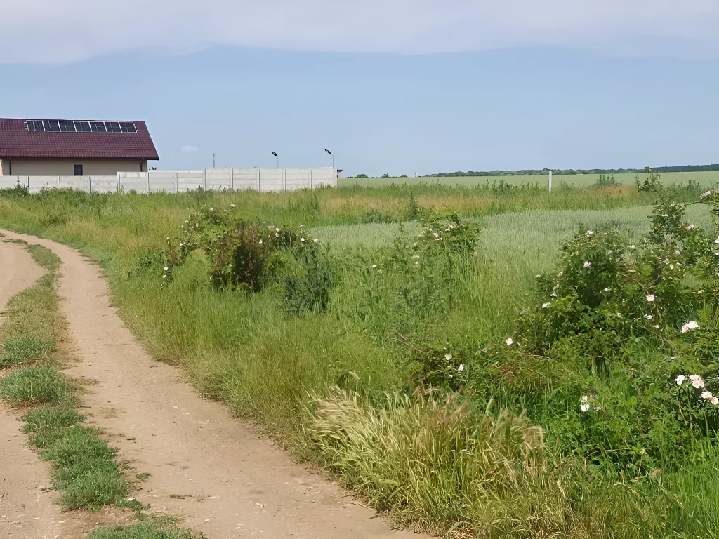 Teren Intravilan de Vânzare Balotești, Ilfov - Potențial de Investiție și Zonă Rezidențială - imaginea 6