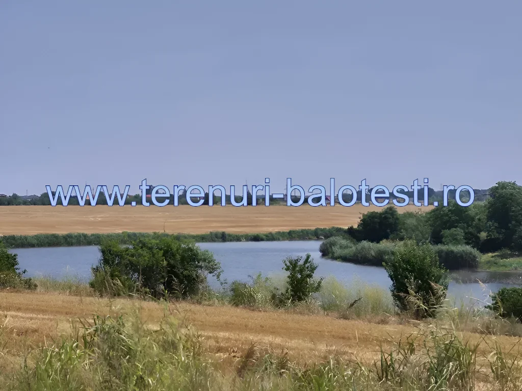 Teren 600 mp de vânzare în Balotești, Ilfov - Acces drum asfaltat, aproape de lac și utilități - imaginea 12