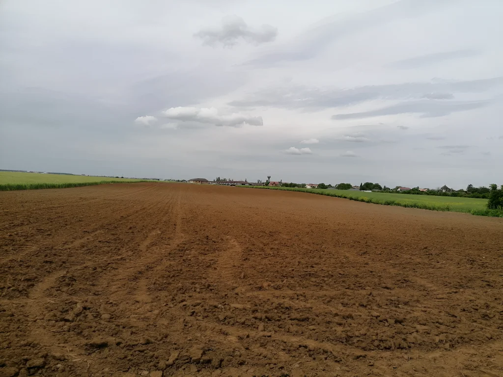 Vanzare teren intravilan Balotesti, Ilfov - Suprafata 22.000 mp, vecintate zone rezidentiale - imaginea 3