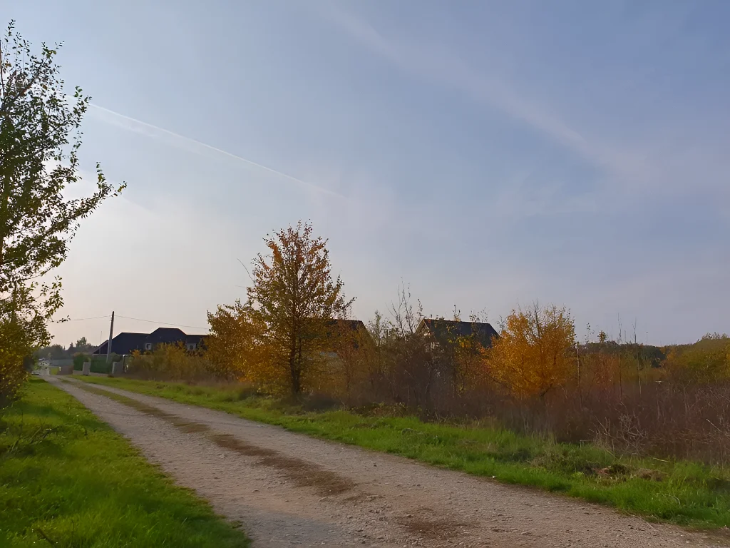Teren de vânzare în Balotești, Ilfov – Lot 600 mp, vecinătate pădure, utilități la 20m, acces stradal amenajat - imaginea 2