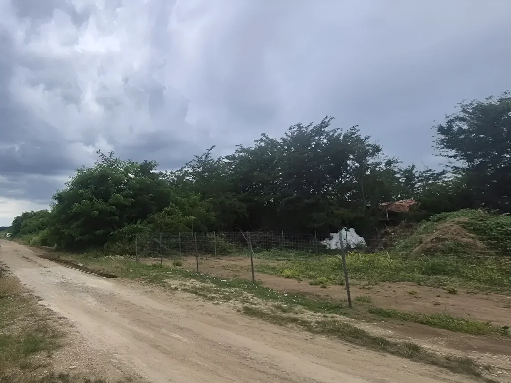 Teren intravilan Balotești, Ilfov - 500 mp, acces stradal, utilități la 60m, fără restricții - imaginea 4