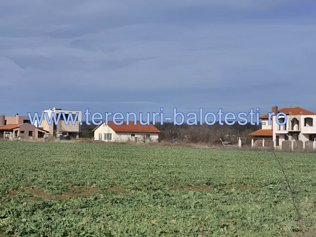 Teren de Construcție Balotești, Ilfov - Suprafață Generoasă, Utilități La Hotar, Lângă Pădure - imaginea 19