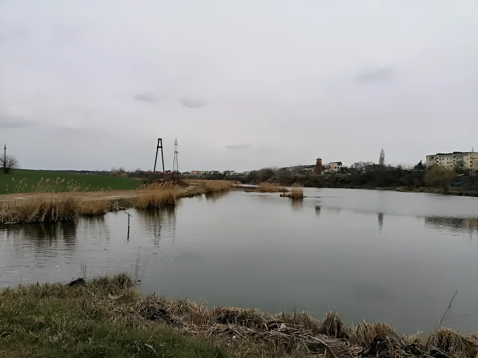 Oportunitate Unică: Teren Intravilan 10.000 mp în Balotești, Ilfov, cu Acces la Lac și PUZ - imaginea 2
