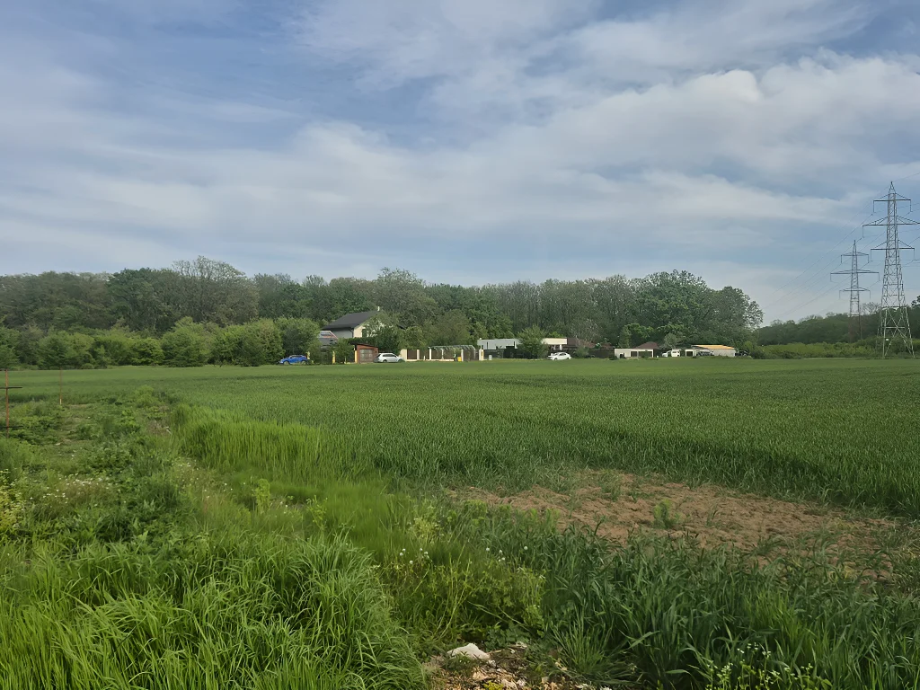 De Vânzare: Teren Intravilan Balotești, Ilfov - Ideal pentru Casă, 1273 mp, Acces Ușor la Pădure și Utilități - imaginea 2
