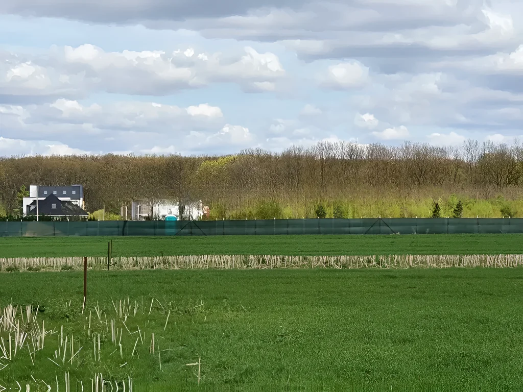 Investiție Strategică: Teren de Vânzare în Balotești, Ilfov - Potențial Urbanistic - imaginea 3