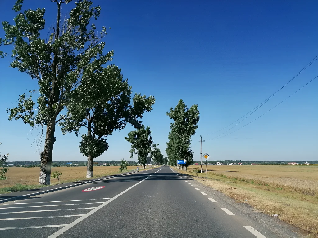 Teren intravilan 65.000 mp de vânzare, Chitila, Ilfov – Poziție strategică cu acces DN7 și A0 - imaginea 4