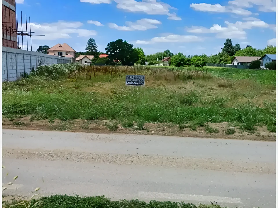 Oportunitate Teren Intravilan de Vânzare în Ciolpani, Ilfov – Zonă Rezidențială