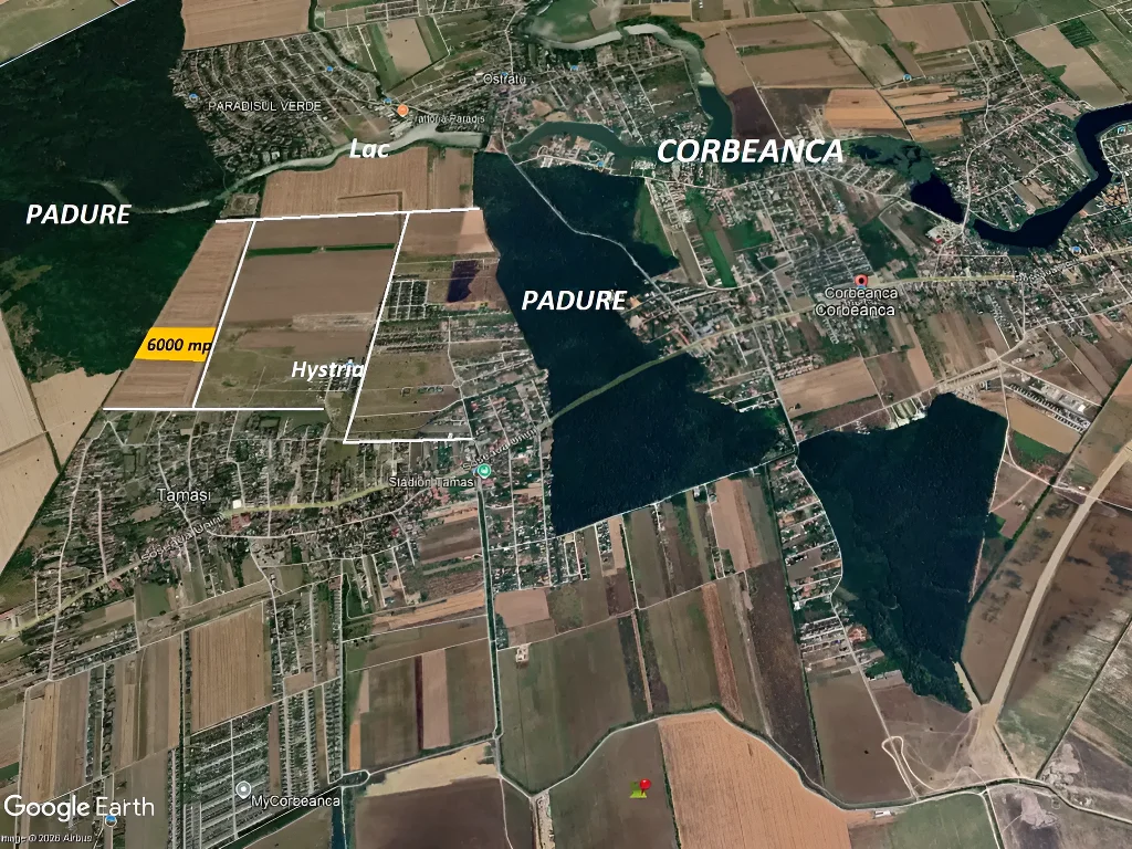 Investitie teren Corbeanca, Ilfov - 6000 mp intravilan, latura la padure, acces facil - imaginea 4
