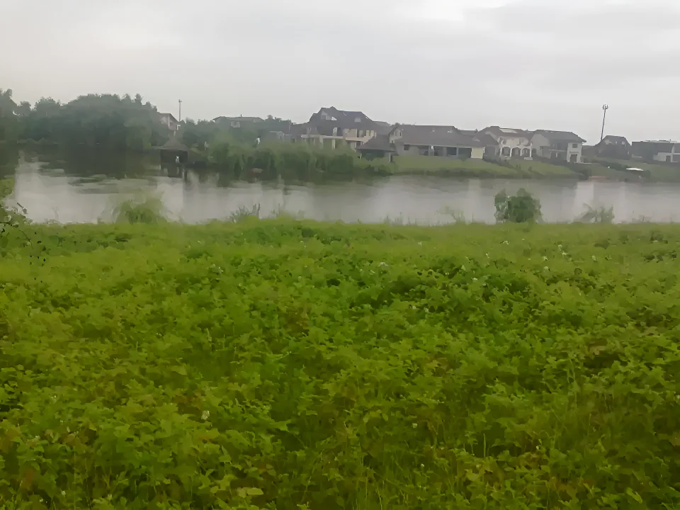 Oportunitate Teren Corbeanca, Ilfov: 4036 mp Intravilan cu Vederi Panoramice - imaginea 2