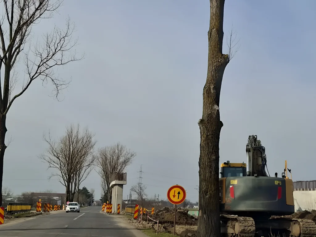 Vânzare teren Corbeanca, Ilfov - 10.000 mp, DJ Corbeanca-Buftea, utilități, zonă mixtă - imaginea 5