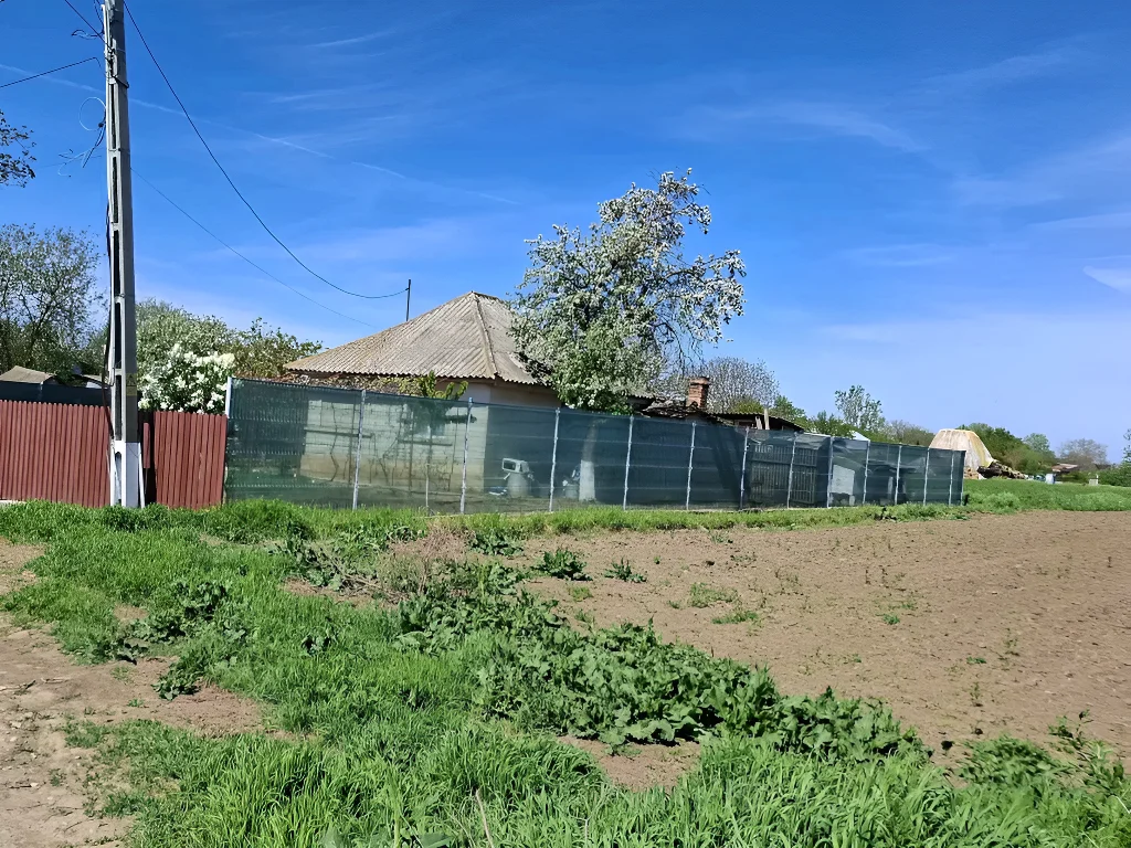 Teren Intravilan Gruiu, Ilfov - 5000 mp, Acces A3, Utilități La Limita Proprietății - imaginea 2
