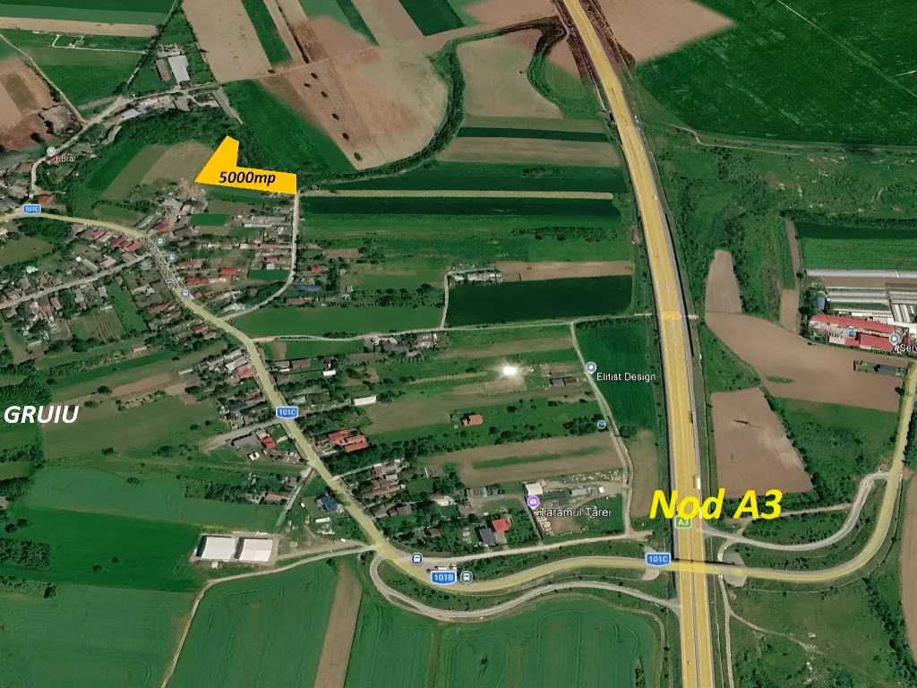 Teren Intravilan Gruiu, Ilfov - 5000 mp, Acces A3, Utilități La Limita Proprietății - imaginea 6