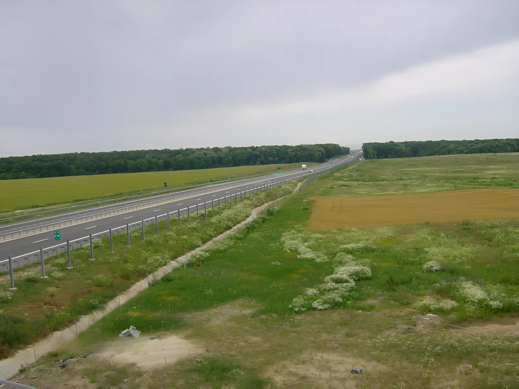 Teren intravilan de vânzare, 2 Ha, Snagov, Ilfov - Acces lac, drum exploatare, Autostrada A3 - imaginea 4